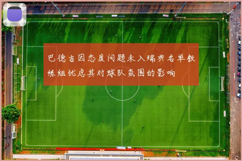 巴德吉因态度问题未入瑞典名单教练组忧虑其对球队氛围的影响